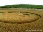 Pewsey White Horse, Wiltshire crop circle, aerial photo 9