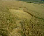 Rough Down, Wiltshire crop circle, aerial photo 4