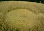 Rough Down, Wiltshire crop circle, aerial photo 5