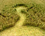 Rough Down, Wiltshire crop circle, aerial photo 6