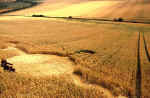 Rough Down, Wiltshire crop circle, aerial photo 10