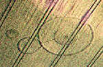 Seaa3.jpg (32167 bytes)