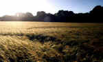 Seaton, Leicestershire crop circle, aerial photo 7