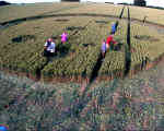 Old Village of Shaw, Wiltshire crop circle, aerial photo 4