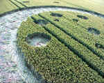 Old Village of Shaw, Wiltshire crop circle, aerial photo 5