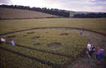 Old Village of Shaw, Wiltshire crop circle, aerial photo 9
