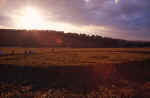 Old Village of Shaw, Wiltshire crop circle, aerial photo 11