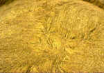Shaw Hill, Wiltshire crop circle, aerial photo 8