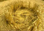 Shaw Hill, Wiltshire crop circle, aerial photo 7