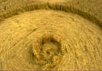 Shaw Hill, Wiltshire crop circle, aerial photo 6