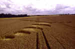Shaw Hill, Wiltshire crop circle, aerial photo 13