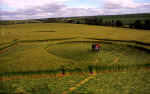 Silbury Hill (2), Wiltshire crop circle, aerial photo 13