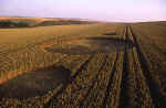 Silbury Hill, Wiltshire crop circle, aerial photo 8