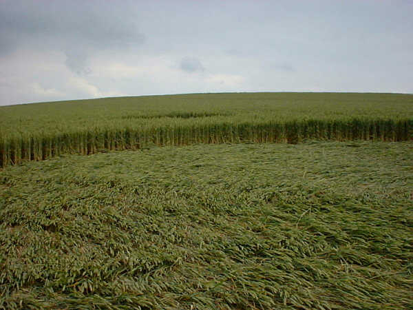 Silbury Hill, Wiltshire crop circle, aerial photo 11
