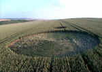 Silbury Hill, Wiltshire crop circle, aerial photo 5