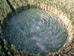 Silbury Hill, Wiltshire crop circle, aerial photo 6