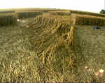 Silbury Hill (4), Wiltshire crop circle, aerial photo 7