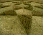 Silbury Hill (4), Wiltshire crop circle, aerial photo 3