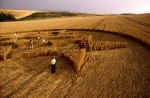 Silbury Hill (4), Wiltshire crop circle, aerial photo 12
