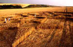 Silbury Hill (4), Wiltshire crop circle, aerial photo 13