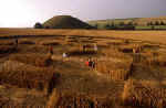 Silbury Hill (4), Wiltshire crop circle, aerial photo 15