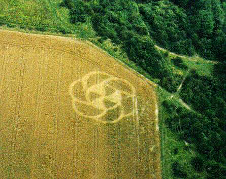 Halewick Park, Sussex crop circle, aerial photo 2