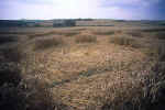 West Overton T-Junction, Wiltshire crop circle, aerial photo 7