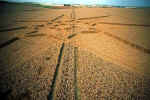 West Overton T-Junction, Wiltshire crop circle, aerial photo 5