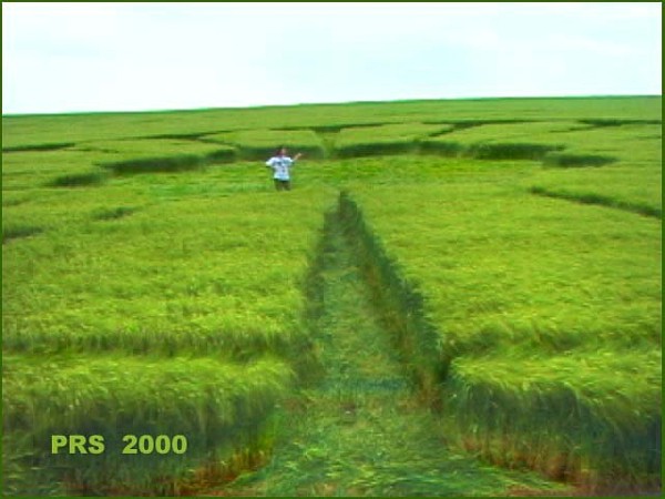 Priors, Wiltshire crop circle, aerial photo 11