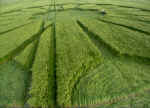 Priors, Wiltshire crop circle, aerial photo 5