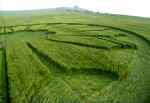 Priors, Wiltshire crop circle, aerial photo 6