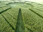 Priors, Wiltshire crop circle, aerial photo 8