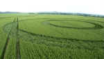 Stanton St Bernard, Wiltshire crop circle, aerial photo 3