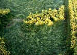 Stanton Bridge, Wiltshire crop circle, aerial photo 3