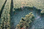 Stanton Bridge, Wiltshire crop circle, aerial photo 6