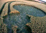 Stanton Bridge, Wiltshire crop circle, aerial photo 7