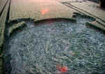 Stanton Bridge, Wiltshire crop circle, aerial photo 5