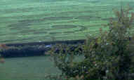 Stantonbury Hill, nr Bristol crop circle, aerial photo 3