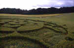 Stephen Castle Down, Hampshire crop circle, aerial photo 10