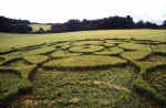 Stephen Castle Down, Hampshire crop circle, aerial photo 12