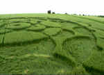 Stephen Castle Down, Hampshire crop circle, aerial photo 5