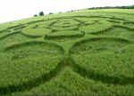 Stephen Castle Down, Hampshire crop circle, aerial photo 6