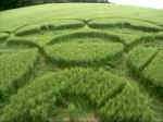 Stephen Castle Down, Hampshire crop circle, aerial photo 7