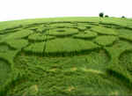 Stephen Castle Down, Hampshire crop circle, aerial photo 4