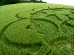 Stephen Castle Down, Hampshire crop circle, aerial photo 8