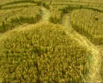 Lavington, Wiltshire crop circle, aerial photo 7