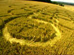 Lavington, Wiltshire crop circle, aerial photo 3