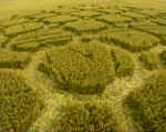Lavington, Wiltshire crop circle, aerial photo 4