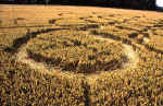 Lavington, Wiltshire crop circle, aerial photo 10