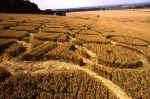 Lavington, Wiltshire crop circle, aerial photo 12